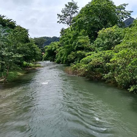 Khao Sok River & Jungle Bungalow Khao Sok National Park Екстериор снимка