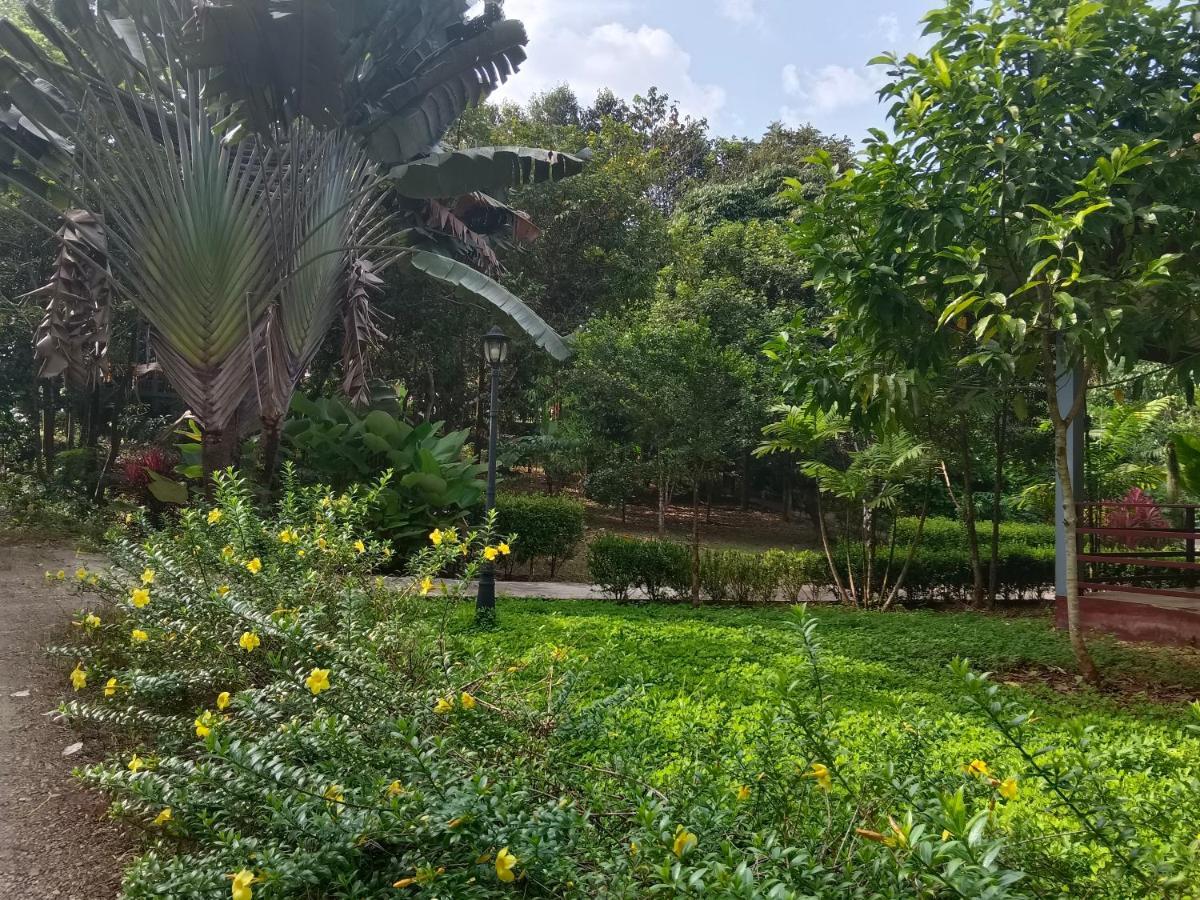 Khao Sok River & Jungle Bungalow Khao Sok National Park Екстериор снимка