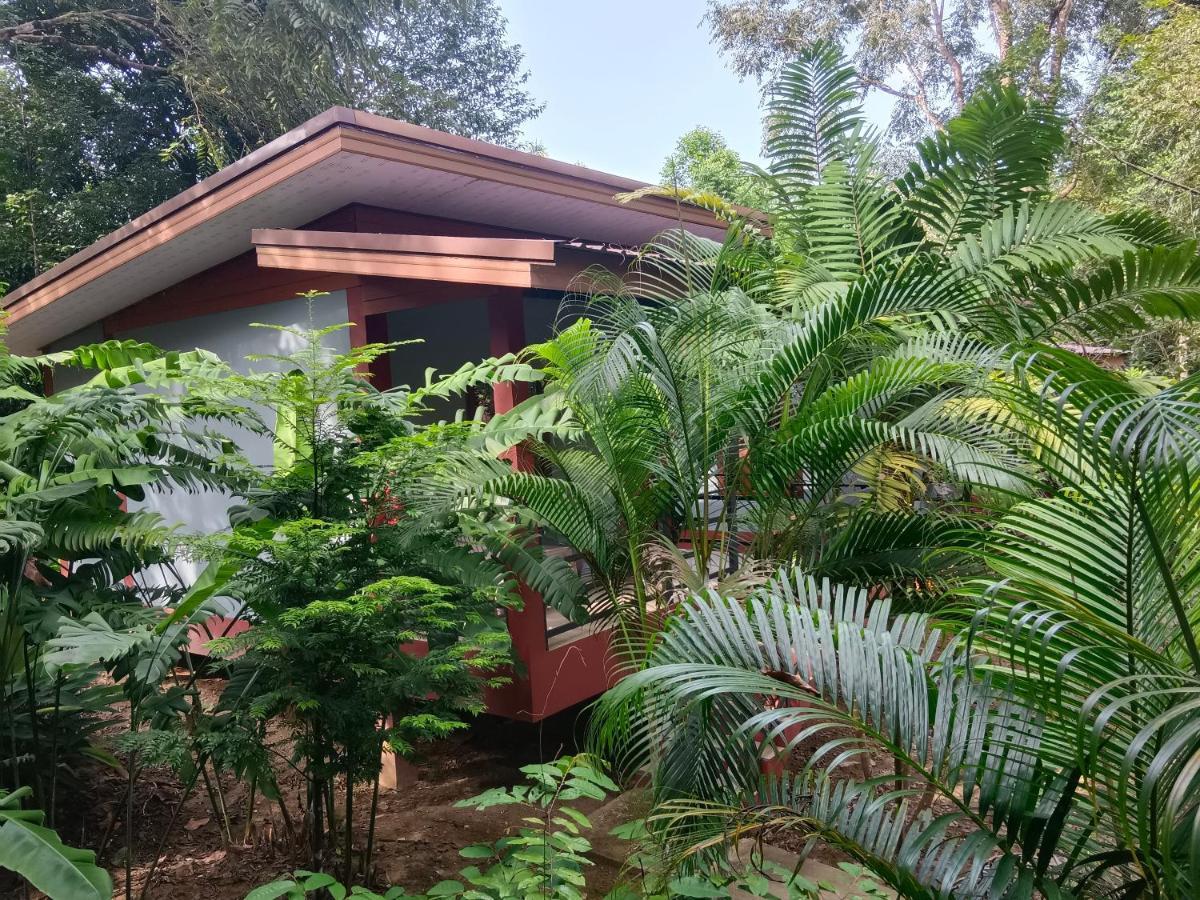 Khao Sok River & Jungle Bungalow Khao Sok National Park Екстериор снимка