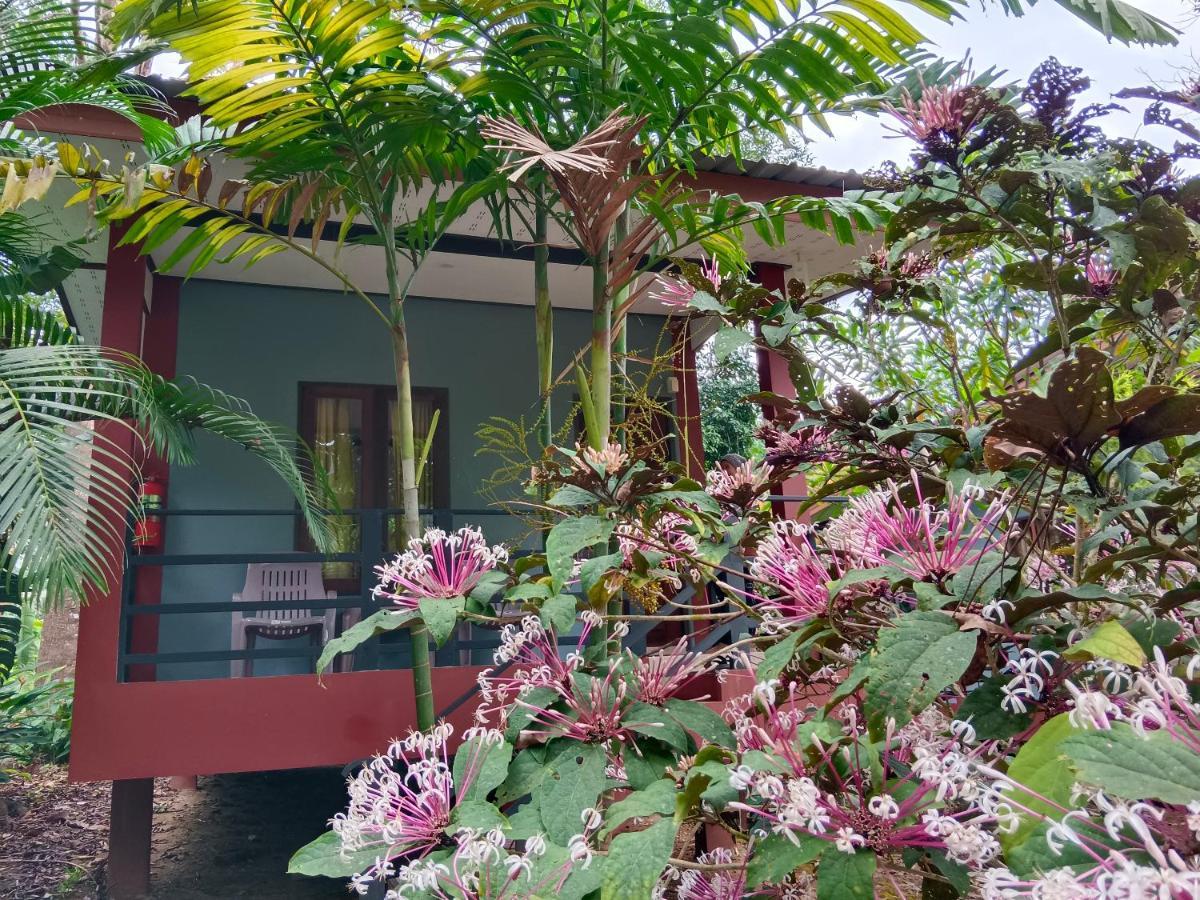 Khao Sok River & Jungle Bungalow Khao Sok National Park Екстериор снимка