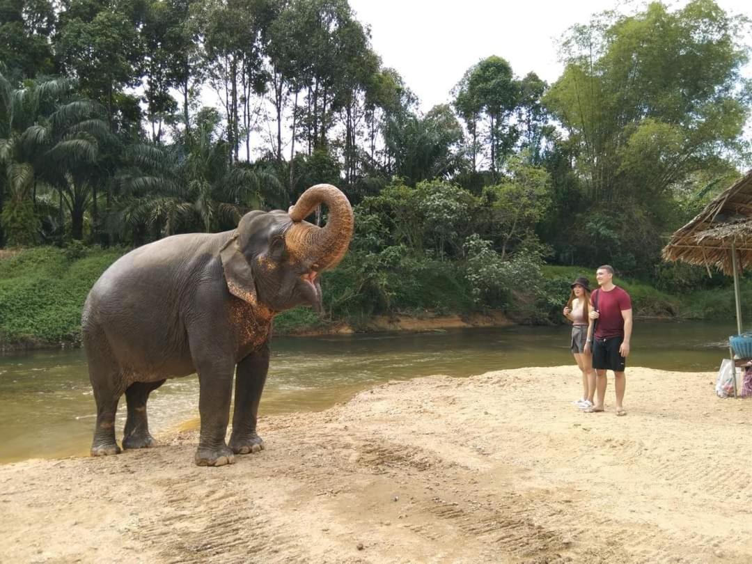 Khao Sok River & Jungle Bungalow Khao Sok National Park Екстериор снимка