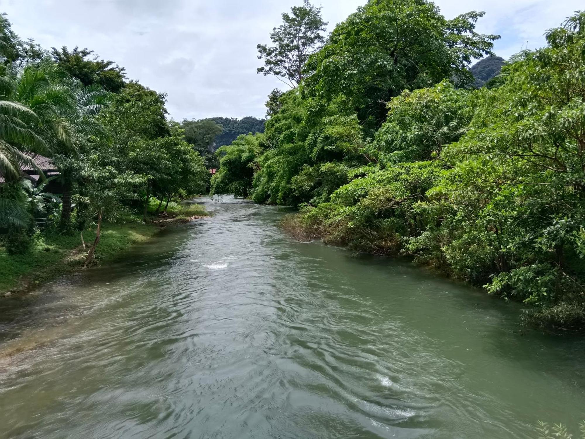 Khao Sok River & Jungle Bungalow Khao Sok National Park Екстериор снимка
